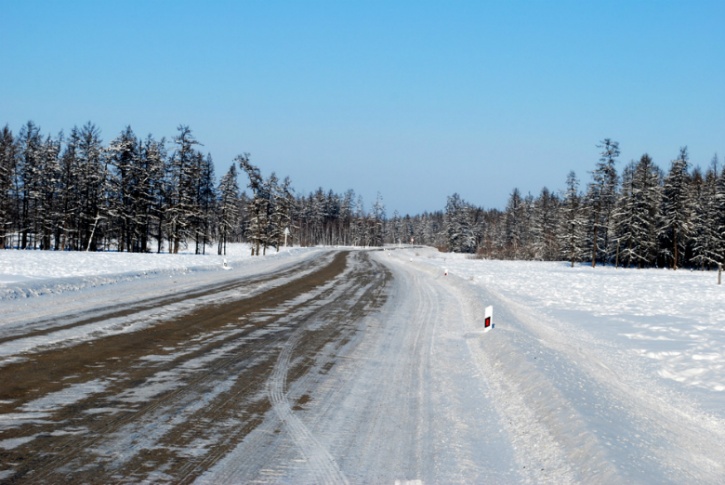 road%20of%20bones%20-%20askyakutia_1443180947_725x725.jpg